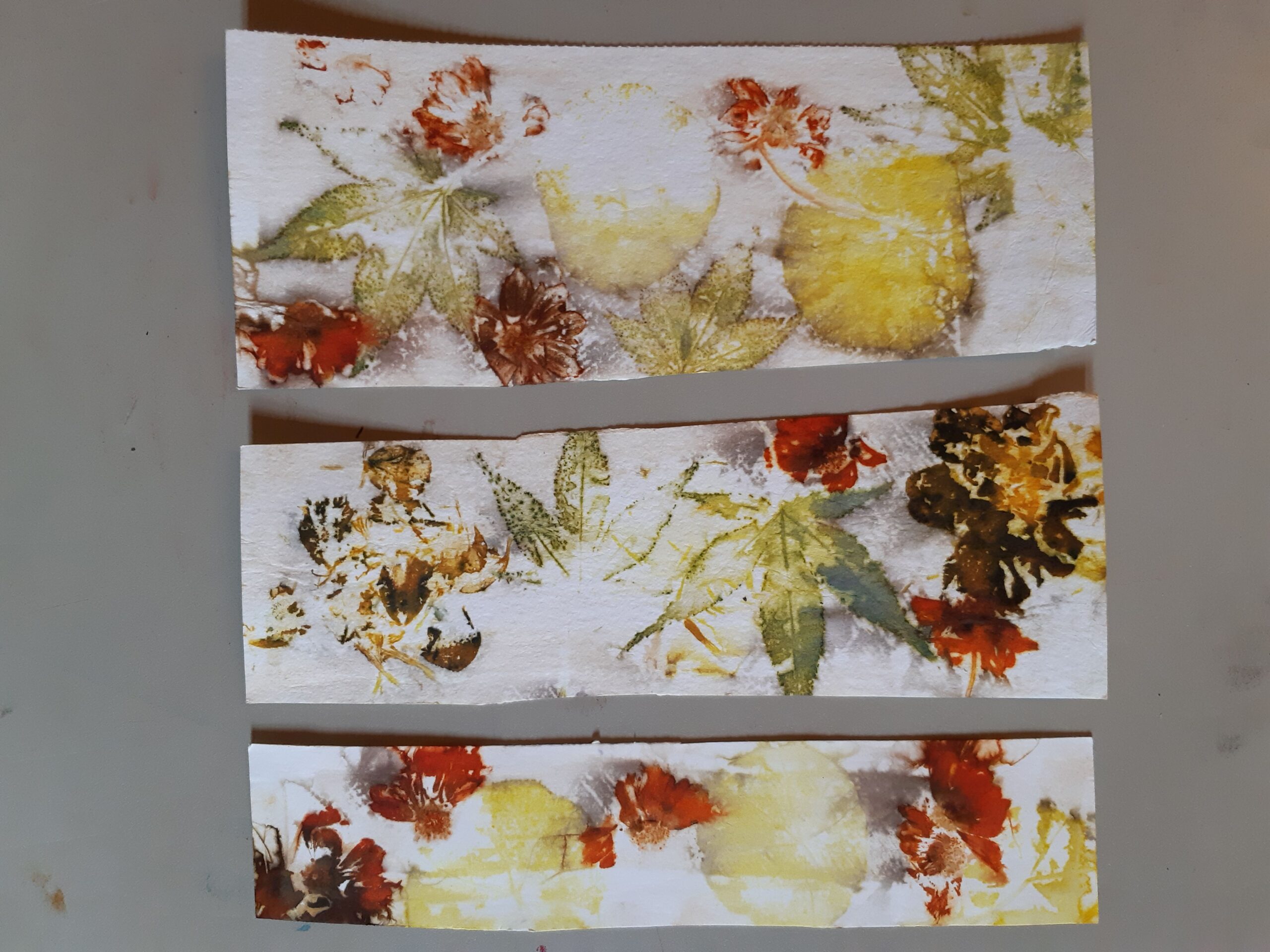 « Impression végétale » sur papier (Éco-print) avec Laetitia Bichsel