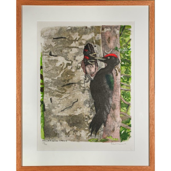 31 Nichée de pics noirs 42x52 web