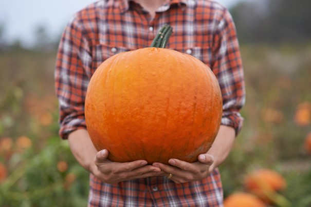 Résultat du concours du "poids de la courge" Marché des saveurs Bevaix : 13,4 kg