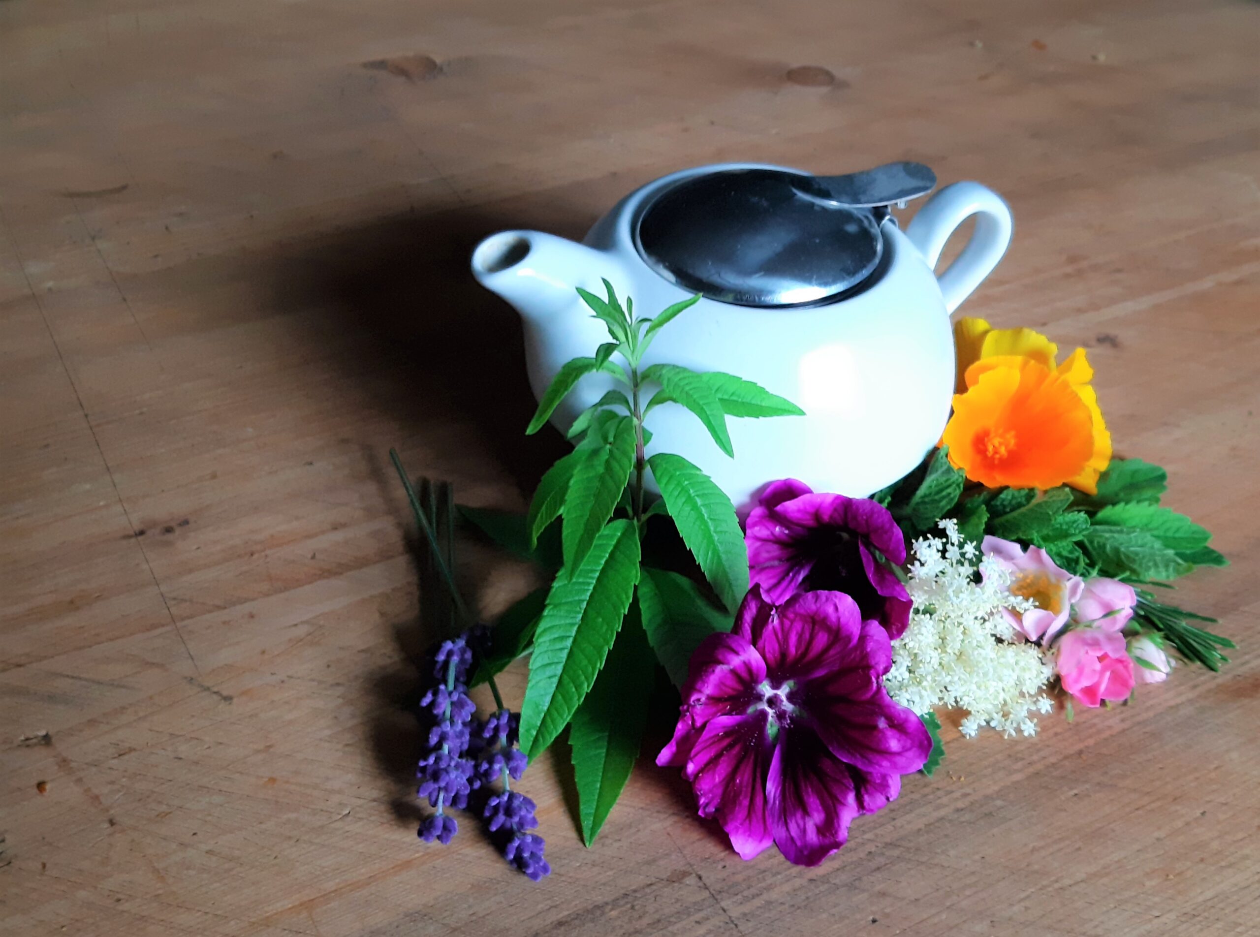 Préparer sa tisane